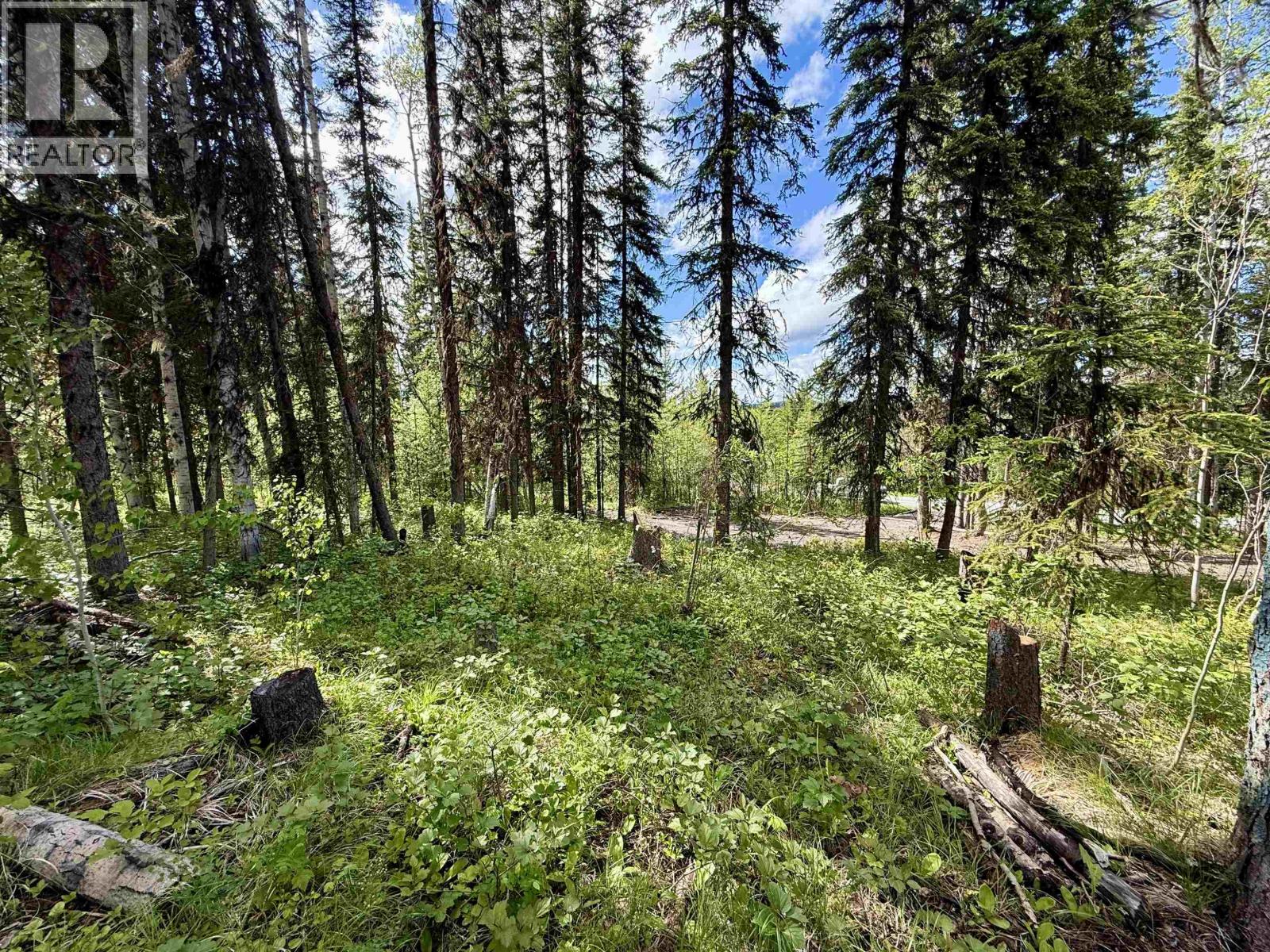 7554 Womack Road, Deka Lake / Sulphurous / Hathaway Lakes, British Columbia  V0K 1X3 - Photo 9 - R3135674