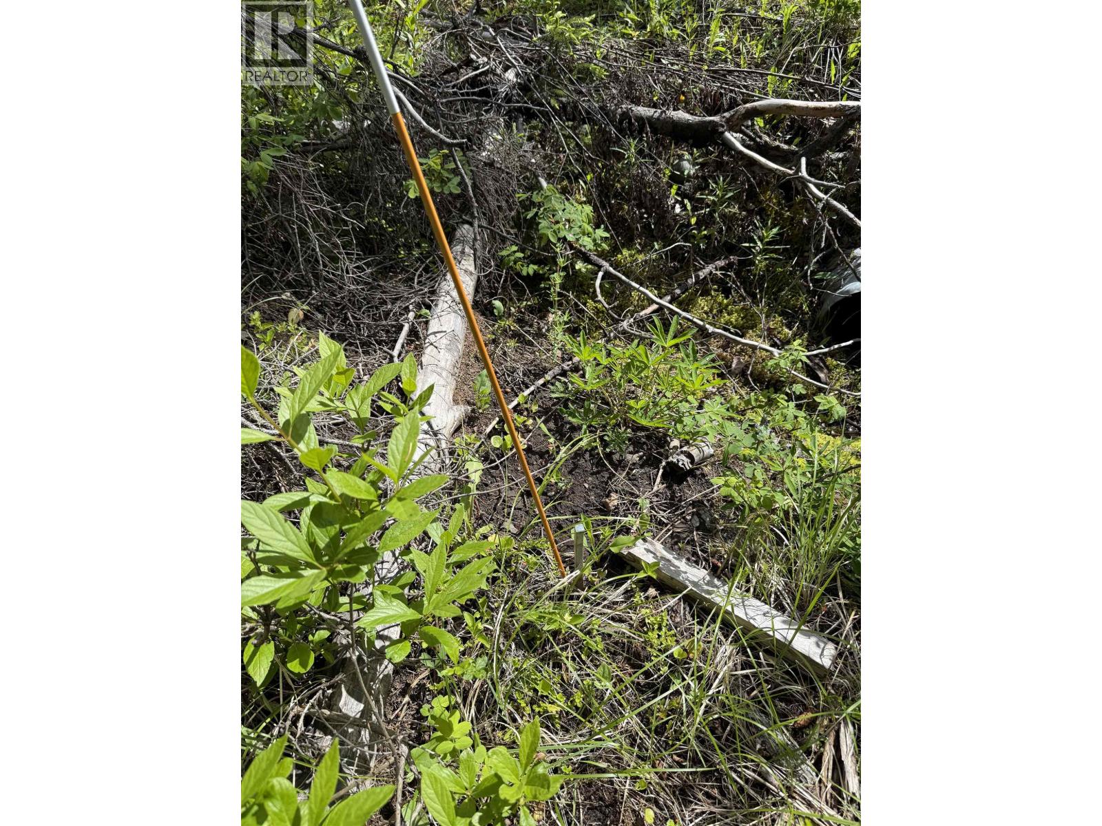 7554 Womack Road, Deka Lake / Sulphurous / Hathaway Lakes, British Columbia  V0K 1X3 - Photo 18 - R3135674
