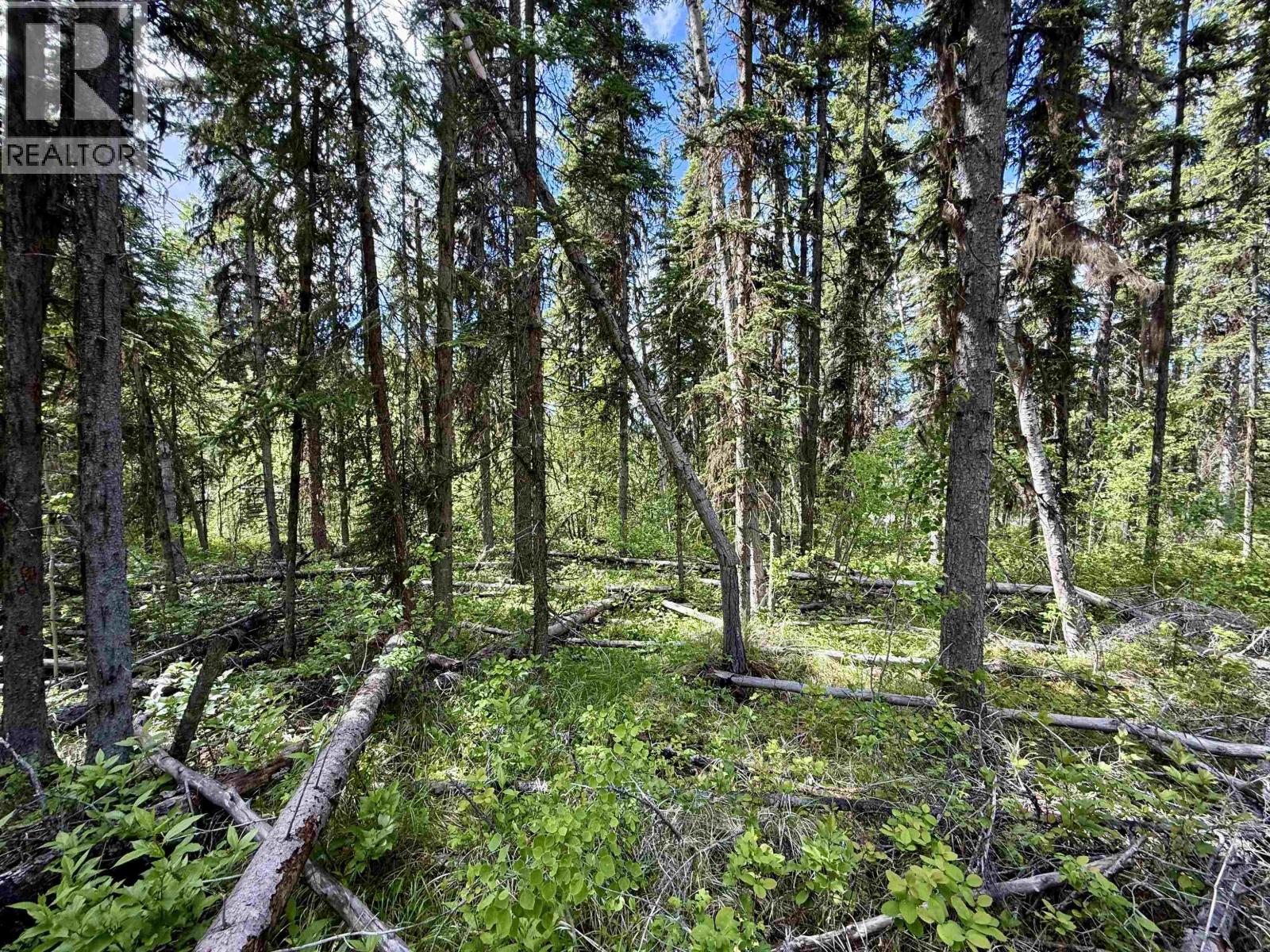 7554 Womack Road, Deka Lake / Sulphurous / Hathaway Lakes, British Columbia  V0K 1X3 - Photo 10 - R3135674