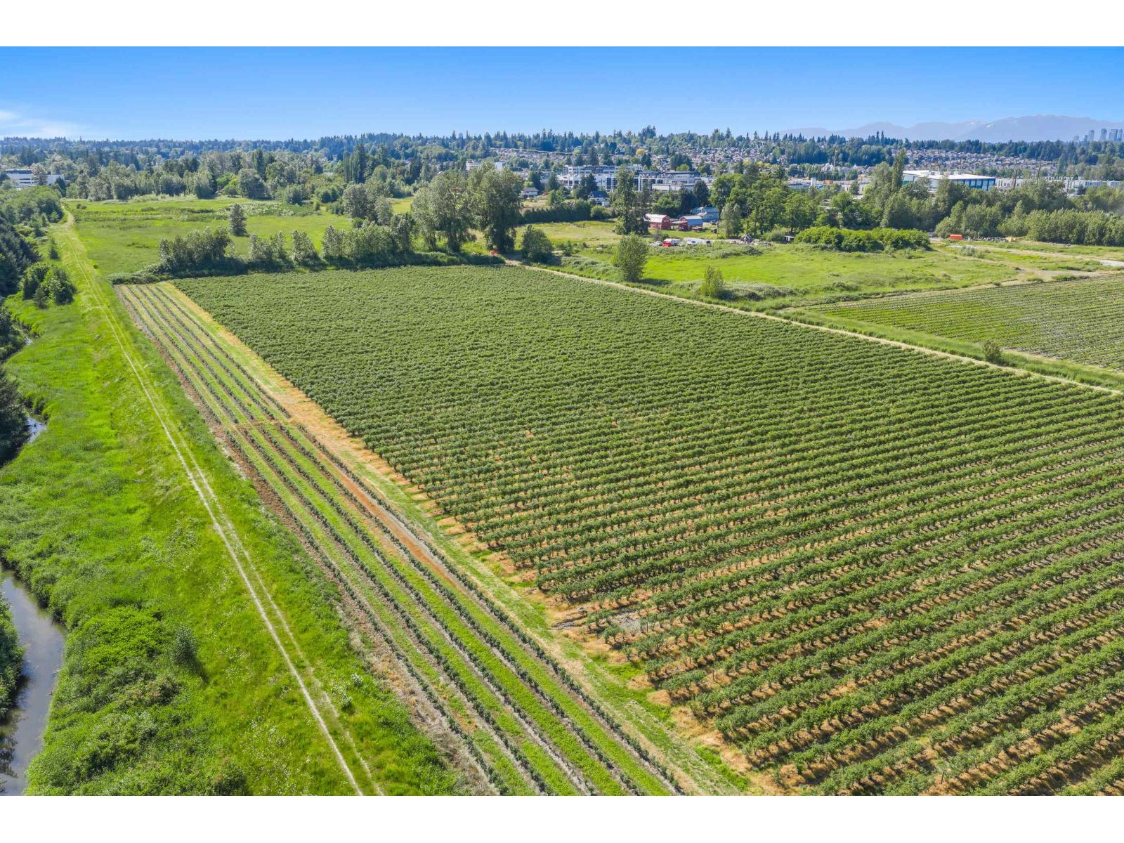 15683 64 Avenue, Surrey, British Columbia  V3S 2A2 - Photo 4 - R3099127