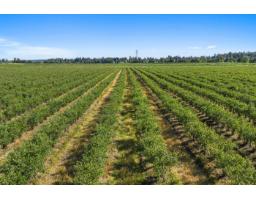 15683 64 AVENUE, Surrey, British Columbia