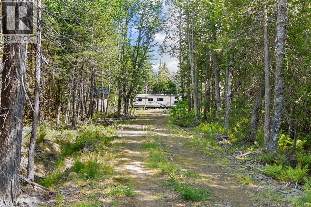 8 Jacques Andre, West Branch, New Brunswick  E4W 0M5 - Photo 5 - NB141980