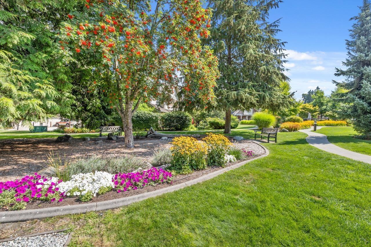 57 3109 161 Street, Surrey, British Columbia  V3Z 2K4 - Photo 27 - R3135794