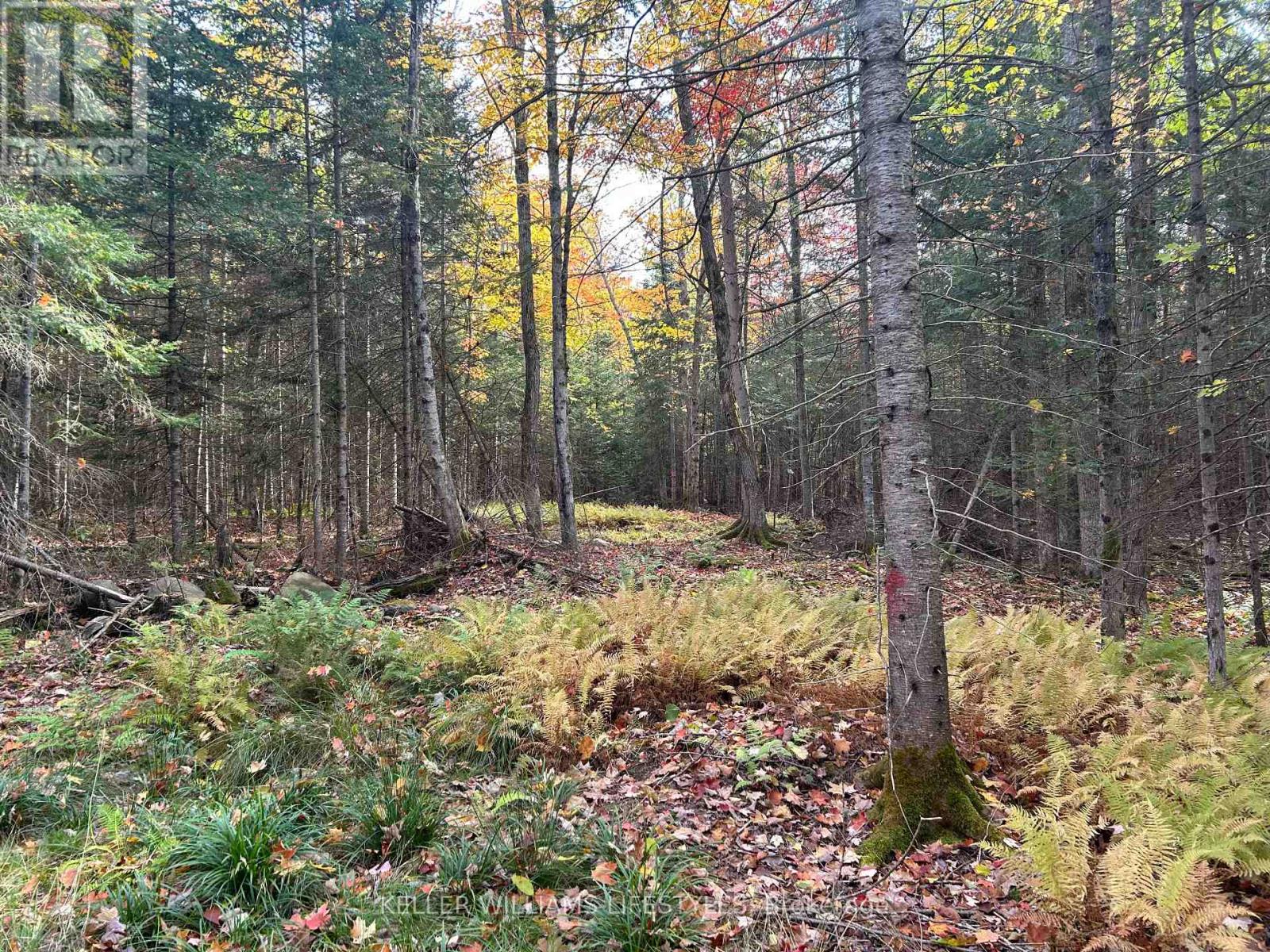 3191 Hwy 534, Nipissing, Ontario  P0H 1W0 - Photo 17 - X13451968