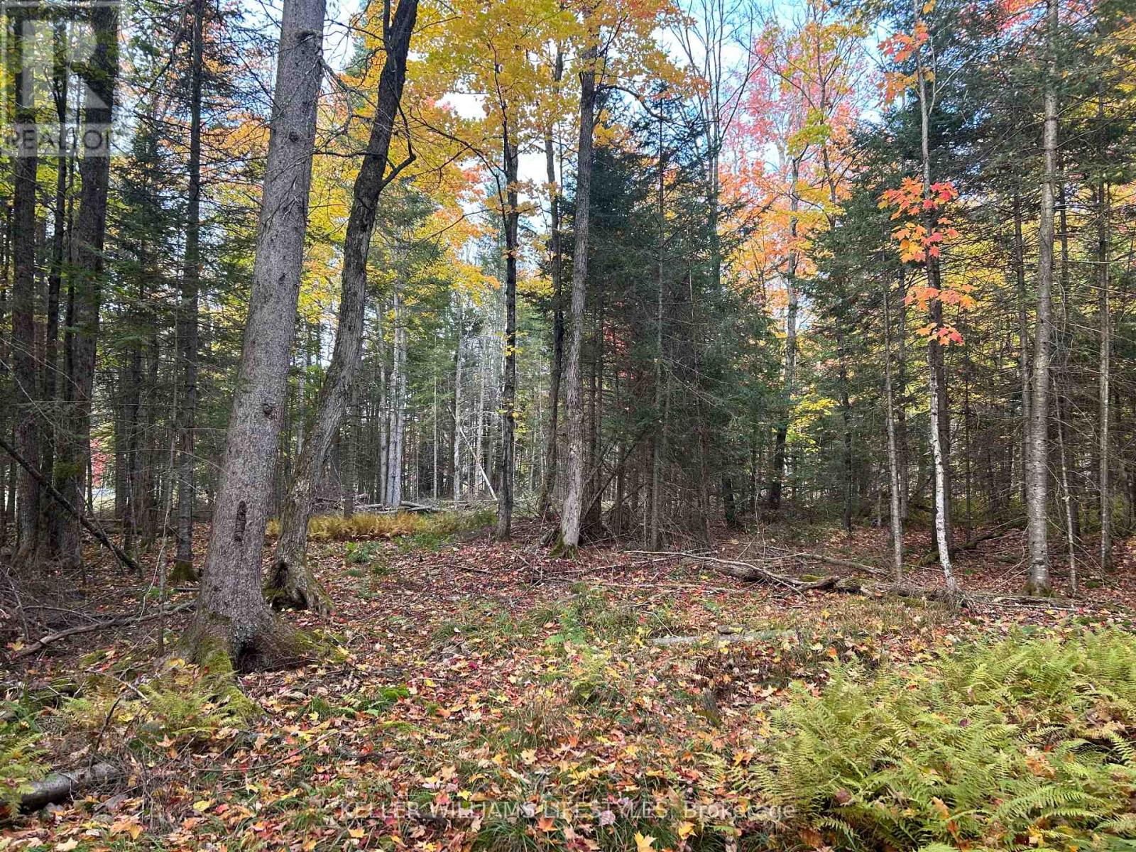 3191 Hwy 534, Nipissing, Ontario  P0H 1W0 - Photo 19 - X13451968