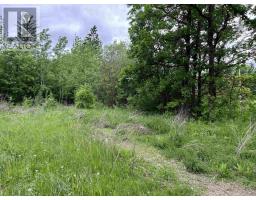 PIN 560490007 HWY 11, Pinewood, Ontario