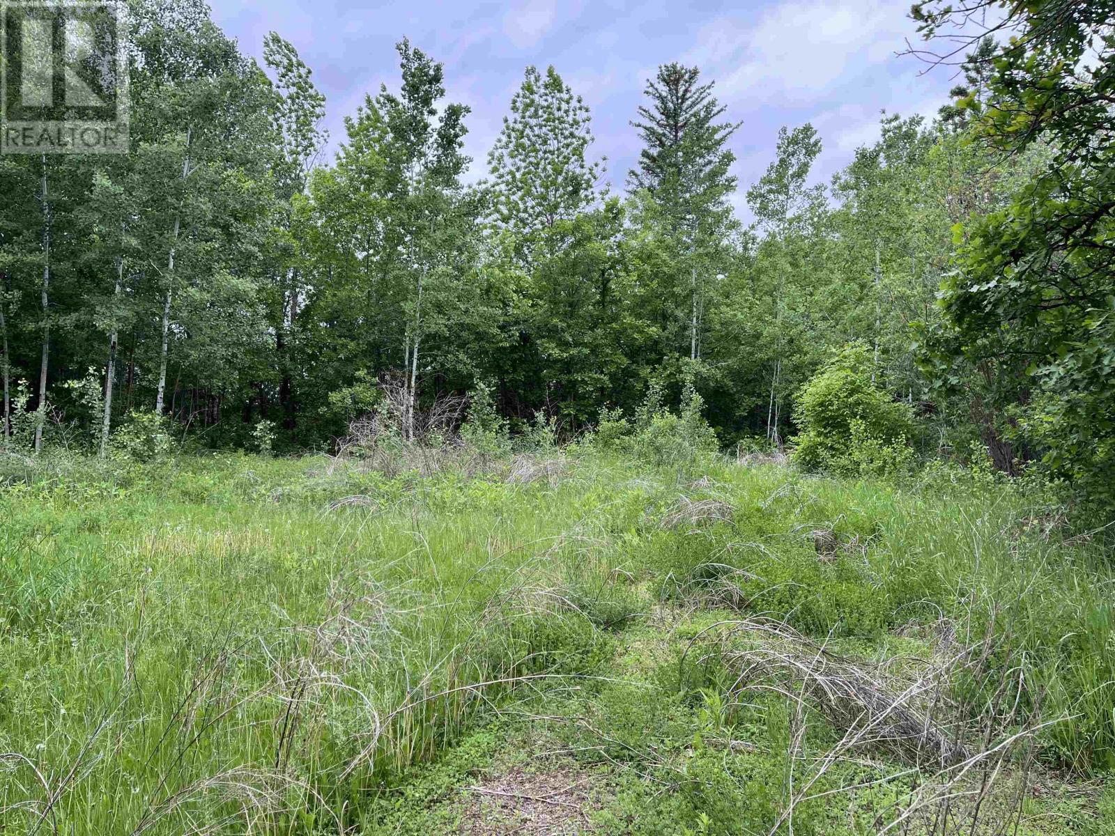 Pin 560490007 Hwy 11, Pinewood, Ontario  P0W 1K0 - Photo 2 - TB2601538