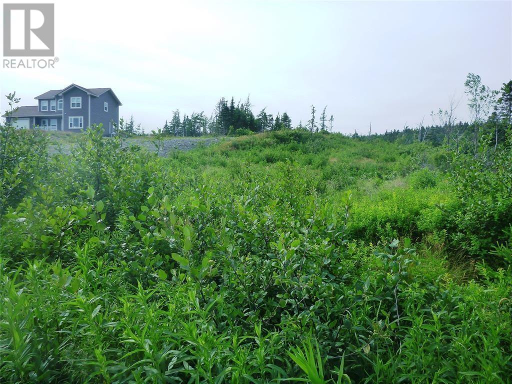 2-4 Snows Pond Road, North River, Newfoundland & Labrador  A0A 3C0 - Photo 3 - 1297479
