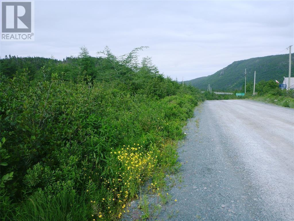 2-4 Snows Pond Road, North River, Newfoundland & Labrador  A0A 3C0 - Photo 5 - 1297479
