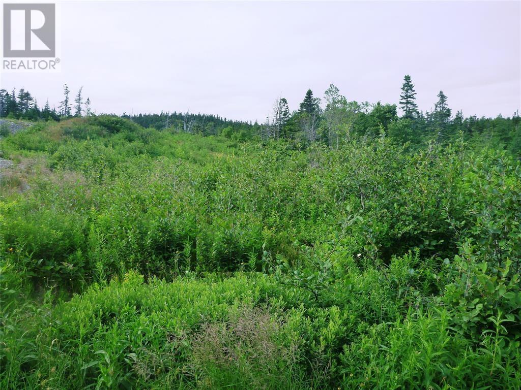 2-4 Snows Pond Road, North River, Newfoundland & Labrador  A0A 3C0 - Photo 6 - 1297479