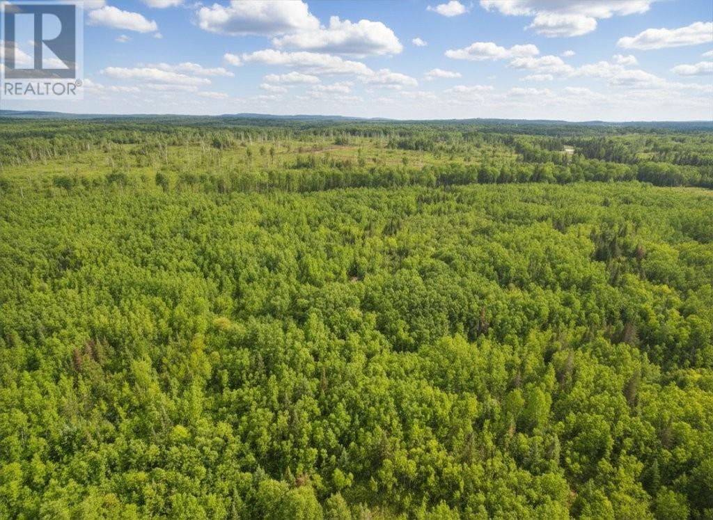 Pcl 13464 Granholm Road, Kaministiquia, Ontario  P0T 1X0 - Photo 12 - TB2601537