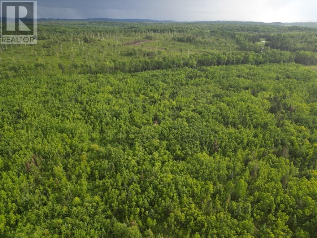 Pcl 13464 Granholm Road, Kaministiquia, Ontario  P0T 1X0 - Photo 15 - TB2601537