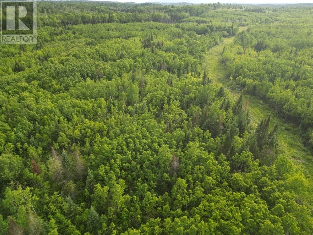 Pcl 13464 Granholm Road, Kaministiquia, Ontario  P0T 1X0 - Photo 19 - TB2601537