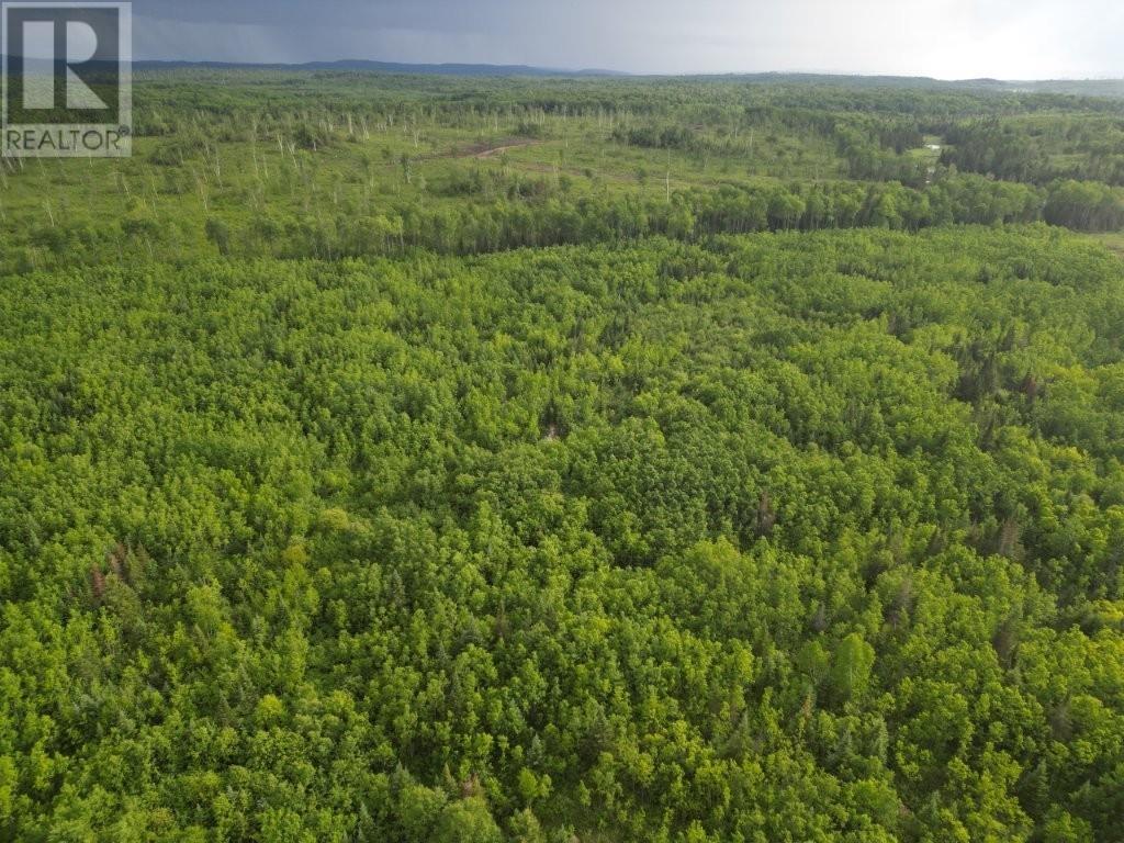 Pcl 13464 Granholm Road, Kaministiquia, Ontario  P0T 1X0 - Photo 14 - TB2601537