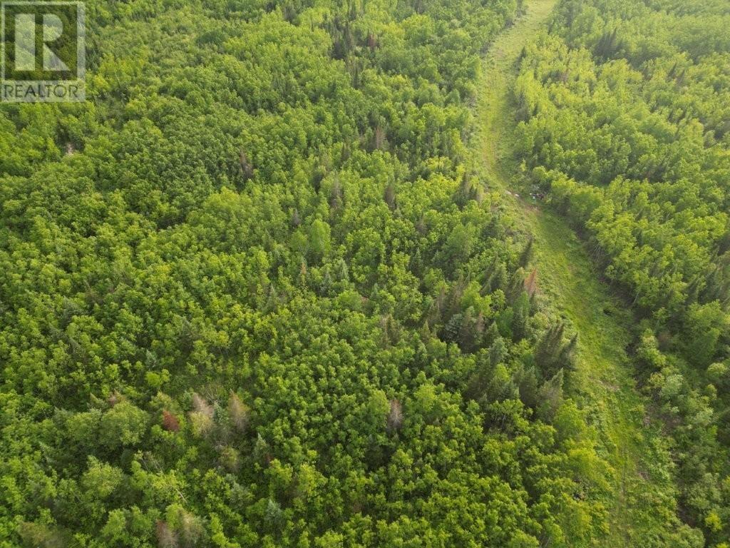 Pcl 13464 Granholm Road, Kaministiquia, Ontario  P0T 1X0 - Photo 22 - TB2601537