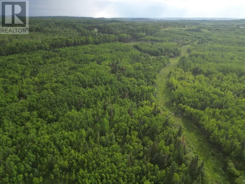 Pcl 13464 Granholm Road, Kaministiquia, Ontario  P0T 1X0 - Photo 16 - TB2601537