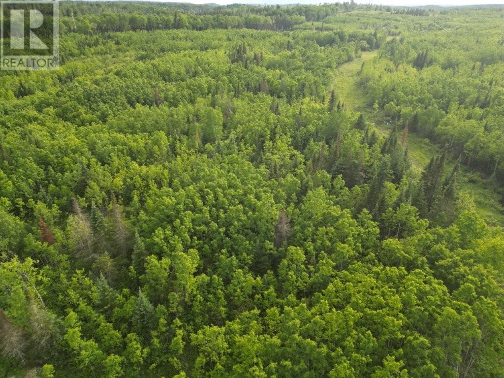 Pcl 13464 Granholm Road, Kaministiquia, Ontario  P0T 1X0 - Photo 20 - TB2601537