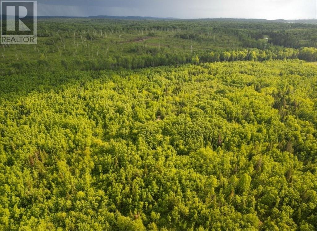 Pcl 13464 Granholm Road, Kaministiquia, Ontario  P0T 1X0 - Photo 13 - TB2601537