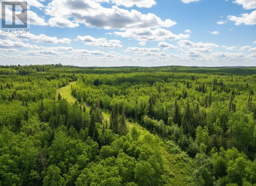 Pcl 13464 Granholm Road, Kaministiquia, Ontario  P0T 1X0 - Photo 2 - TB2601537