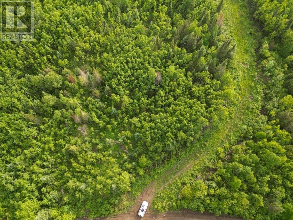 Pcl 13464 Granholm Road, Kaministiquia, Ontario  P0T 1X0 - Photo 23 - TB2601537