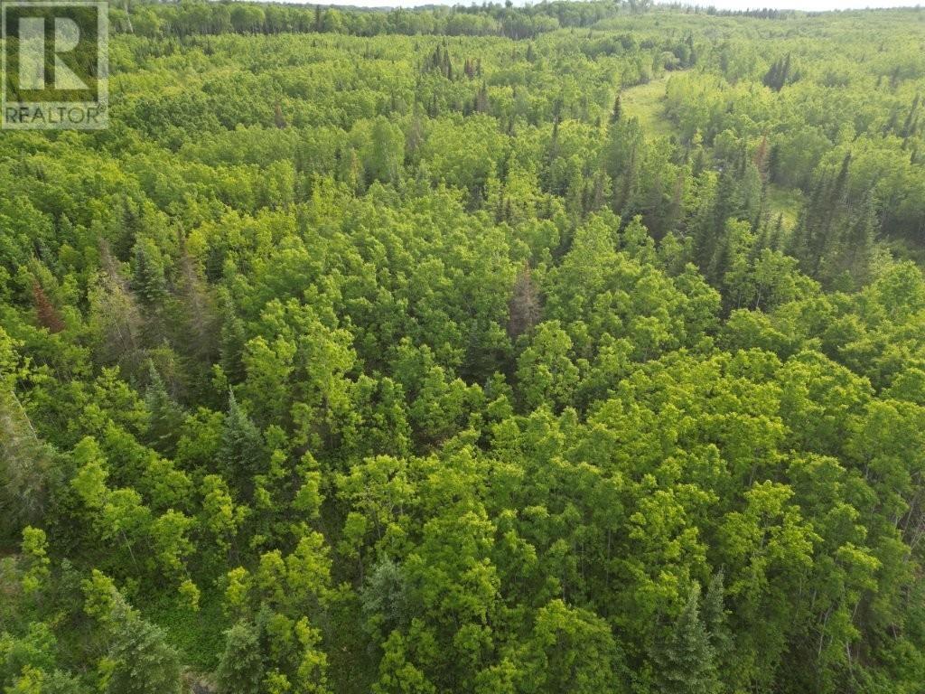 Pcl 13464 Granholm Road, Kaministiquia, Ontario  P0T 1X0 - Photo 21 - TB2601537
