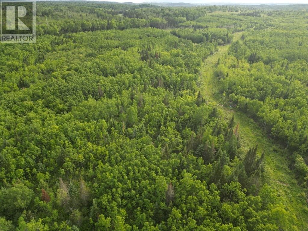 Pcl 13464 Granholm Road, Kaministiquia, Ontario  P0T 1X0 - Photo 18 - TB2601537