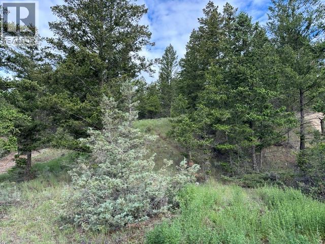 Lot 20 Berland Bend Lot# 20, Windermere, British Columbia  V0B 2L0 - Photo 6 - 10391035