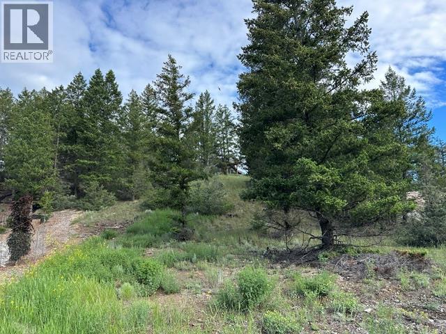 Lot 20 Berland Bend Lot# 20, Windermere, British Columbia  V0B 2L0 - Photo 5 - 10391035