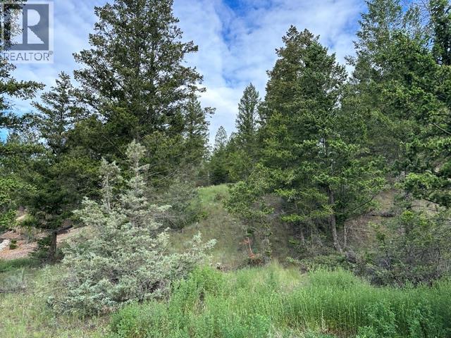 Lot 20 Berland Bend Lot# 20, Windermere, British Columbia  V0B 2L0 - Photo 8 - 10391035