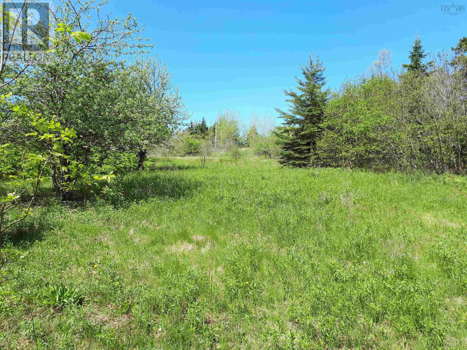 Lot Mackay Road, Millbrook, Nova Scotia  B0K 2A0 - Photo 10 - 202614590