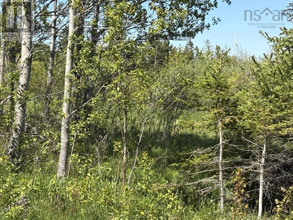 Lot Mackay Road, Millbrook, Nova Scotia  B0K 2A0 - Photo 12 - 202614590