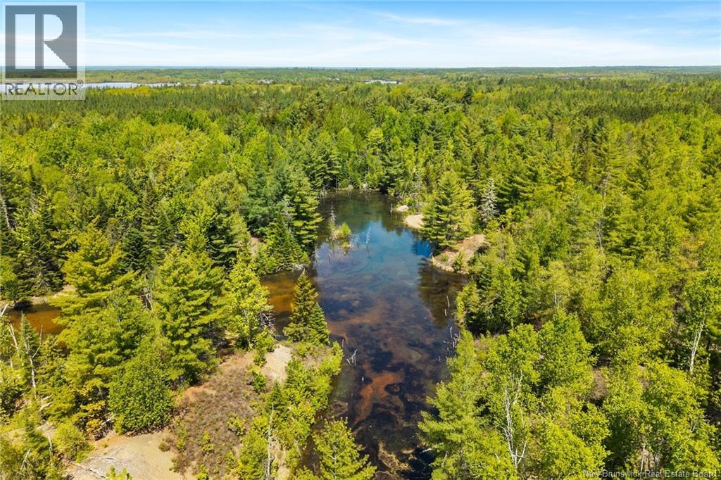 8353 Route 10, Cumberland Bay, New Brunswick  O0O 0O0 - Photo 28 - NB140789
