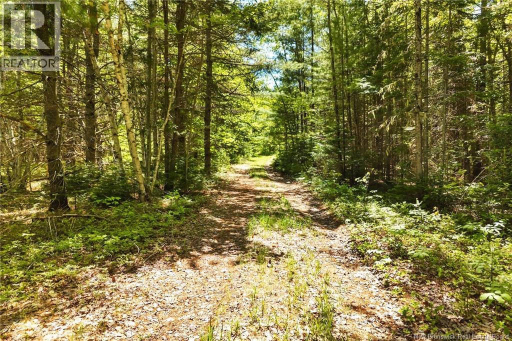 8353 Route 10, Cumberland Bay, New Brunswick  O0O 0O0 - Photo 25 - NB140789
