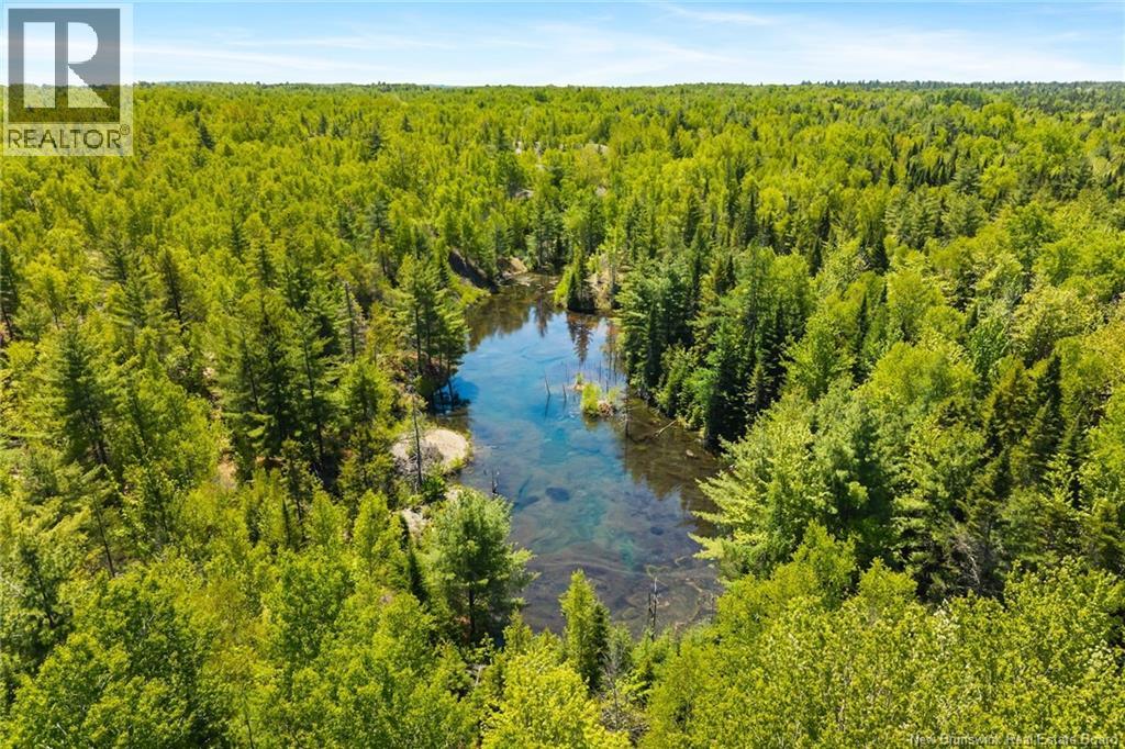 8353 Route 10, Cumberland Bay, New Brunswick  O0O 0O0 - Photo 27 - NB140789