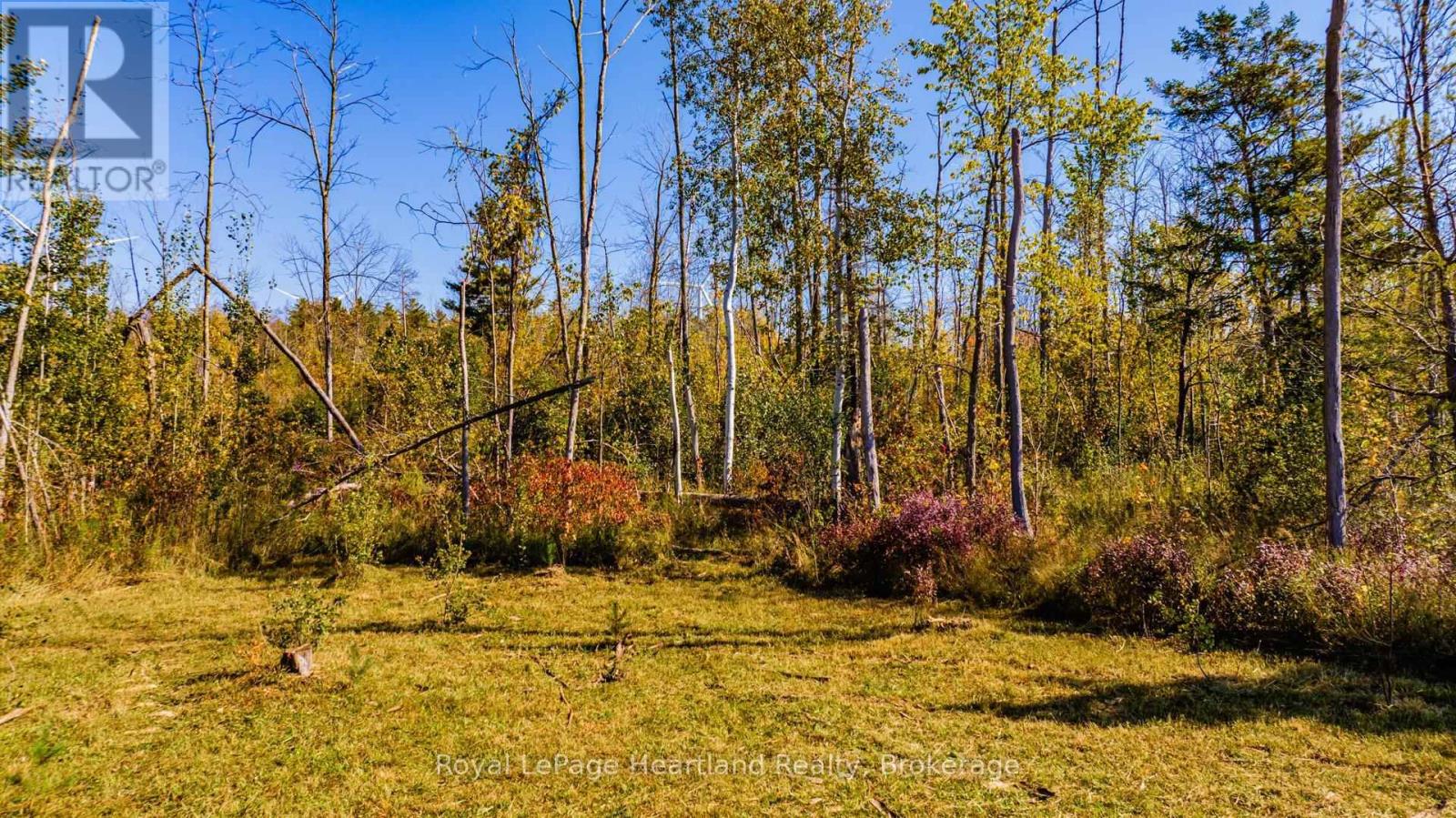 Pt Lt 3 Lanesville Line, Ashfield-Colborne-Wawanosh (Ashfield), Ontario  N0M 1R0 - Photo 19 - X13452220