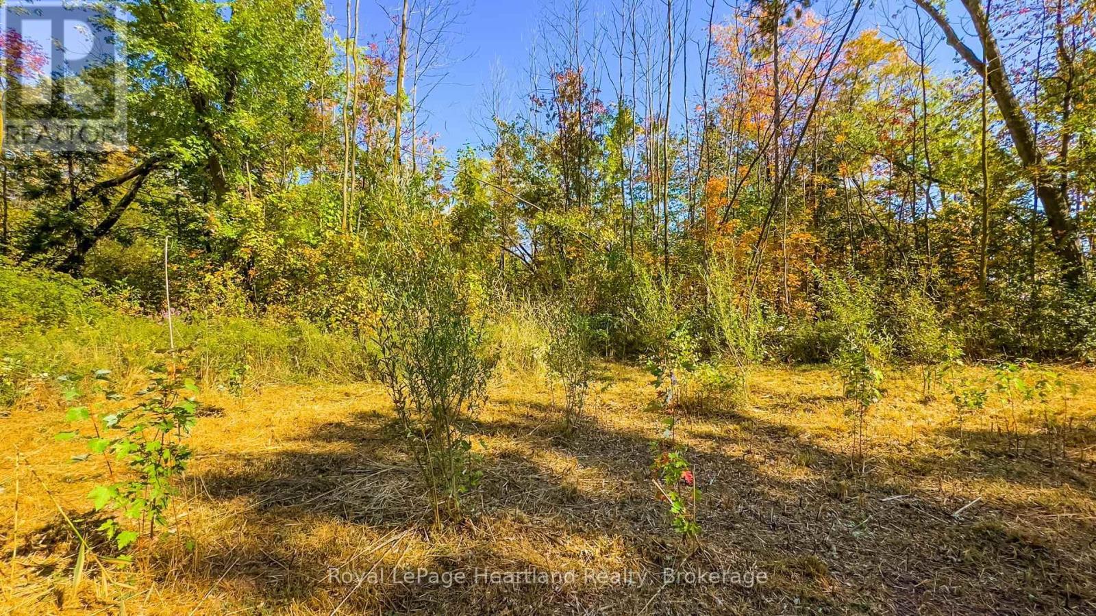 Pt Lt 3 Lanesville Line, Ashfield-Colborne-Wawanosh (Ashfield), Ontario  N0M 1R0 - Photo 38 - X13452220
