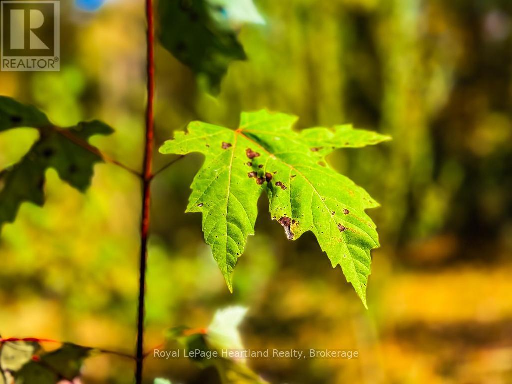 Pt Lt 3 Lanesville Line, Ashfield-Colborne-Wawanosh (Ashfield), Ontario  N0M 1R0 - Photo 40 - X13452326