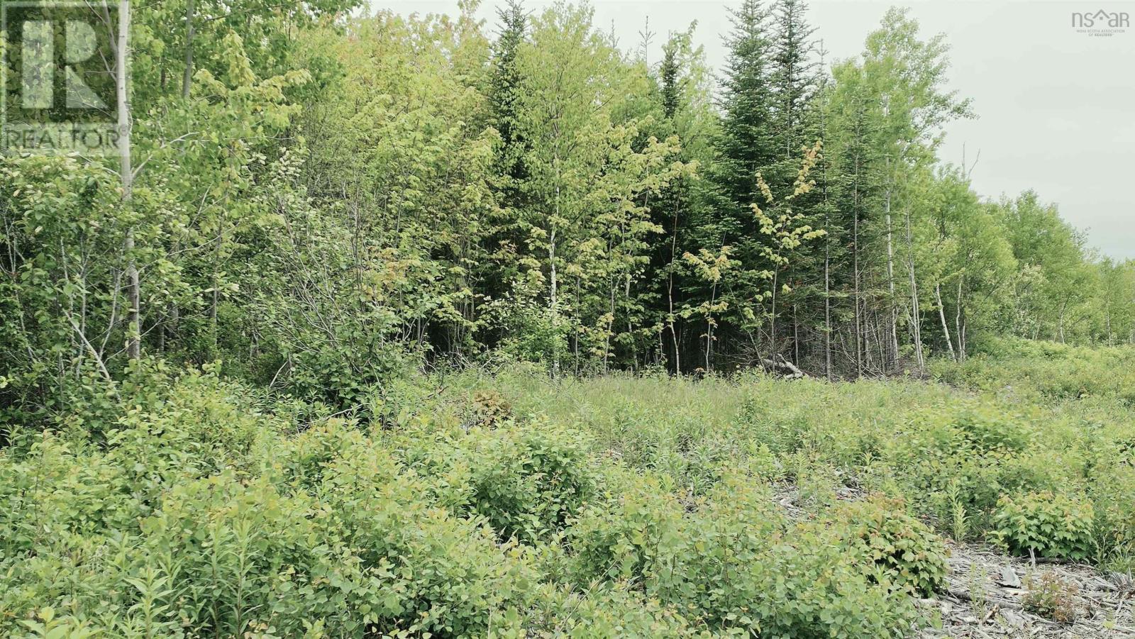 Lot Linwood Harbour Rd East Tracadie, Ns, East Tracadie, Nova Scotia  B0H 1M0 - Photo 1 - 202614597