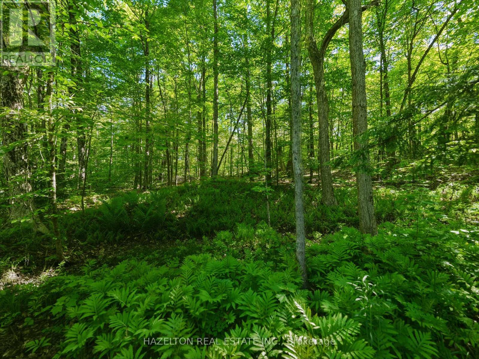 4 Elsasser Road, Seguin, Ontario  P2A 2W8 - Photo 10 - X13452238