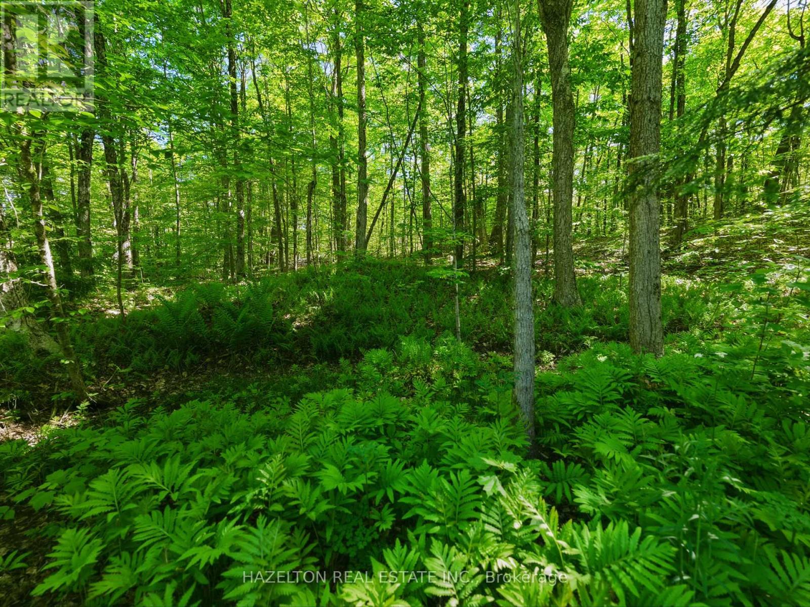 4 Elsasser Road, Seguin, Ontario  P2A 2W8 - Photo 11 - X13452238
