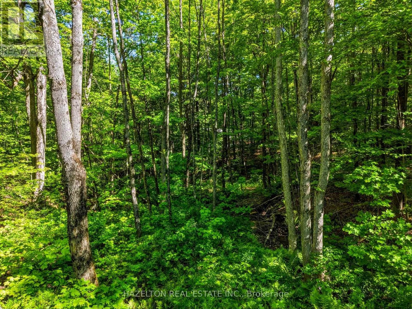 4 Elsasser Road, Seguin, Ontario  P2A 2W8 - Photo 21 - X13452238