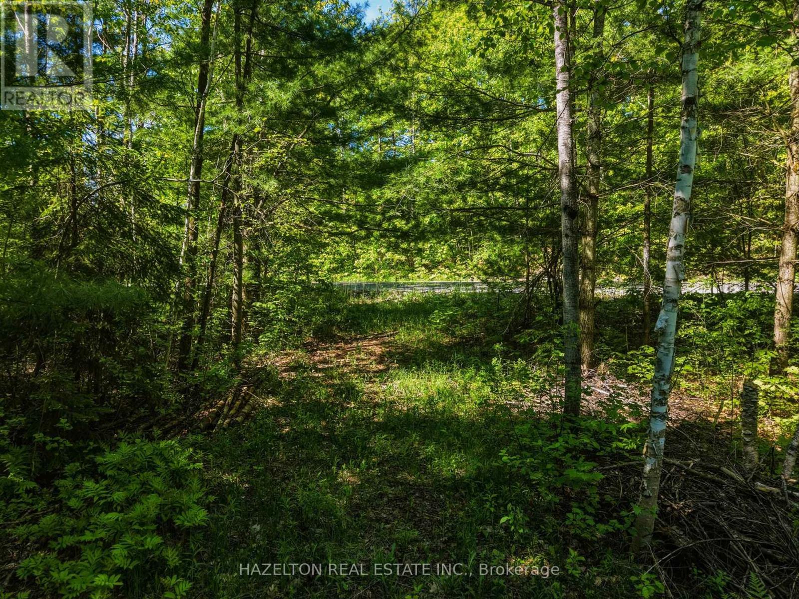 4 Elsasser Road, Seguin, Ontario  P2A 2W8 - Photo 22 - X13452238