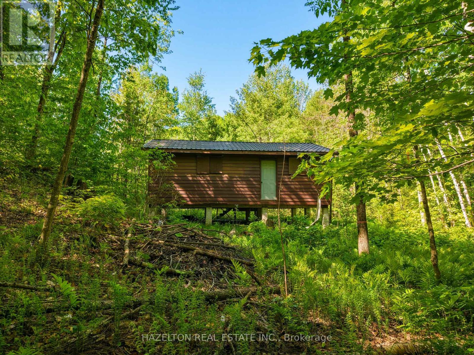 4 Elsasser Road, Seguin, Ontario  P2A 2W8 - Photo 6 - X13452238