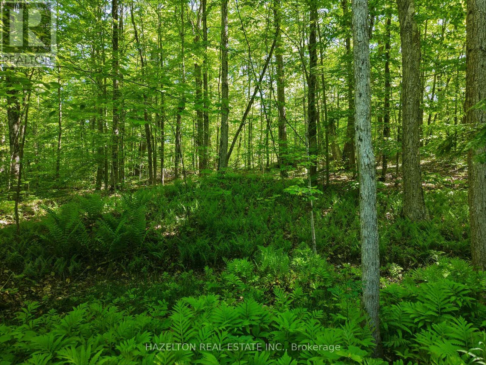 4 Elsasser Road, Seguin, Ontario  P2A 2W8 - Photo 9 - X13452238