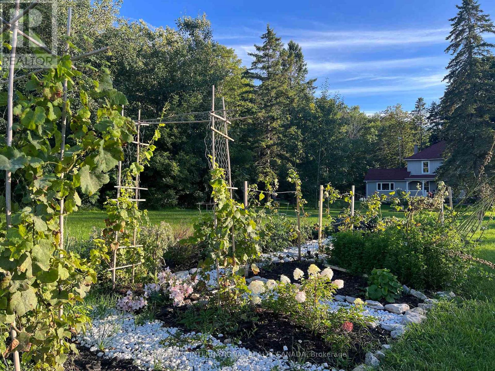 3050 County Road 7, Prince Edward County, Ontario  K0K 2T0 - Photo 31 - X13452318
