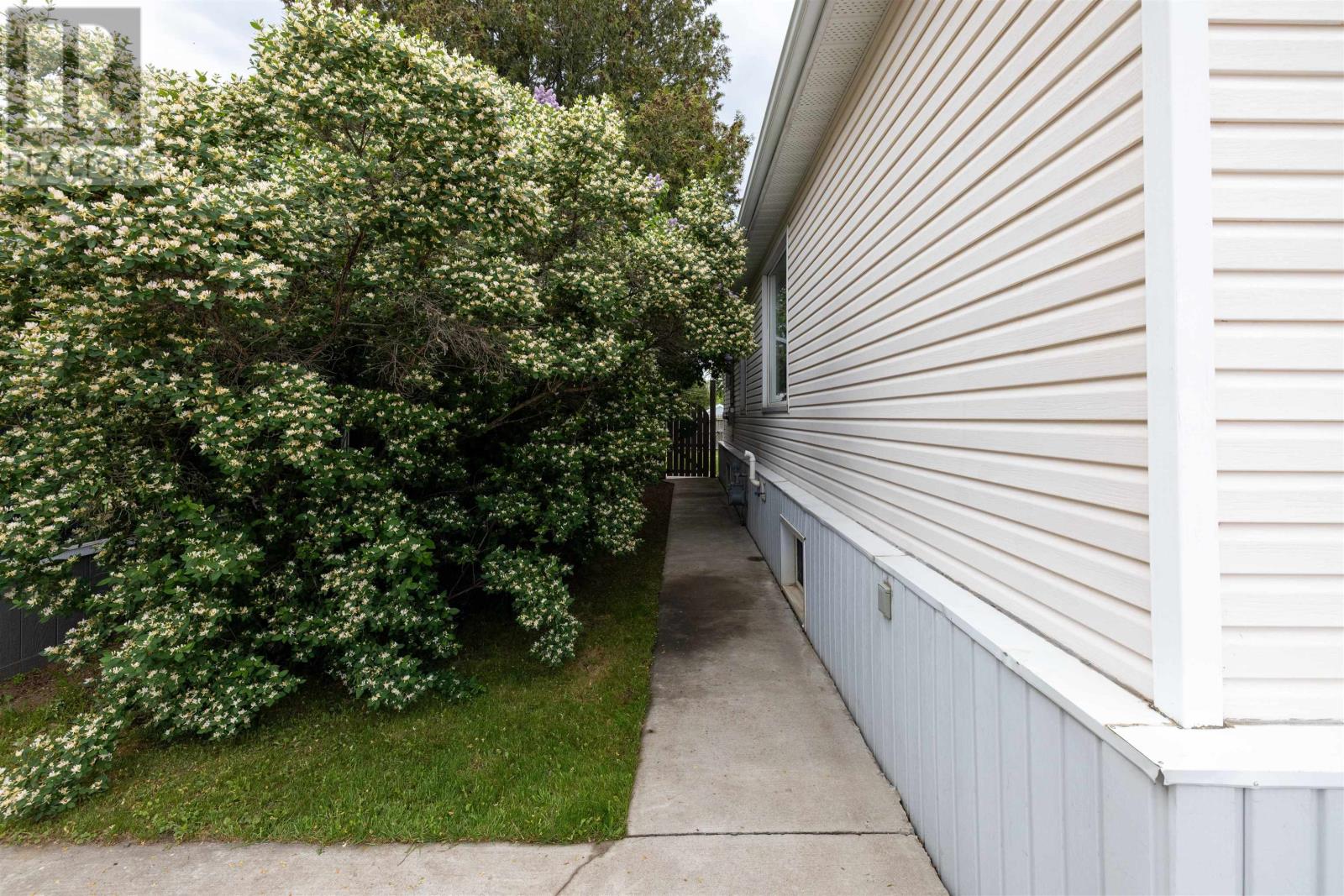 1209 Brown St, Thunder Bay, Ontario  P7E 2M3 - Photo 22 - TB2601539