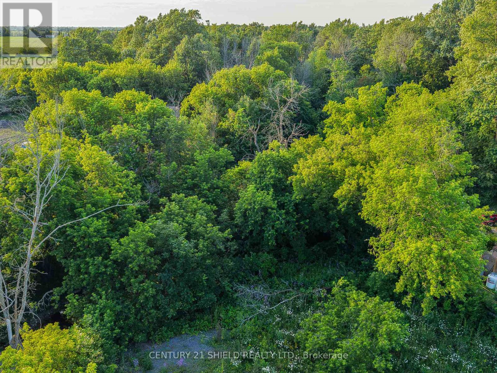 12329 County Rd 5 Road, North Dundas, Ontario  K0C 2L0 - Photo 4 - X13452616