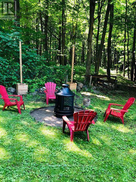 3934 Alcina Avenue, Innisfil, Ontario  L9S 2M4 - Photo 29 - N13452612