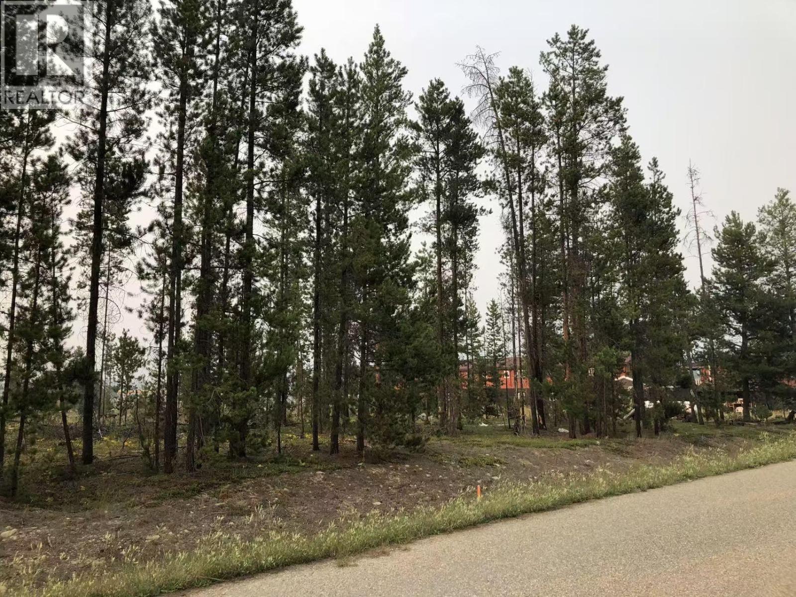 995 S Cranberry Lake Road, Valemount, British Columbia  V0E 2Z0 - Photo 2 - R3136640