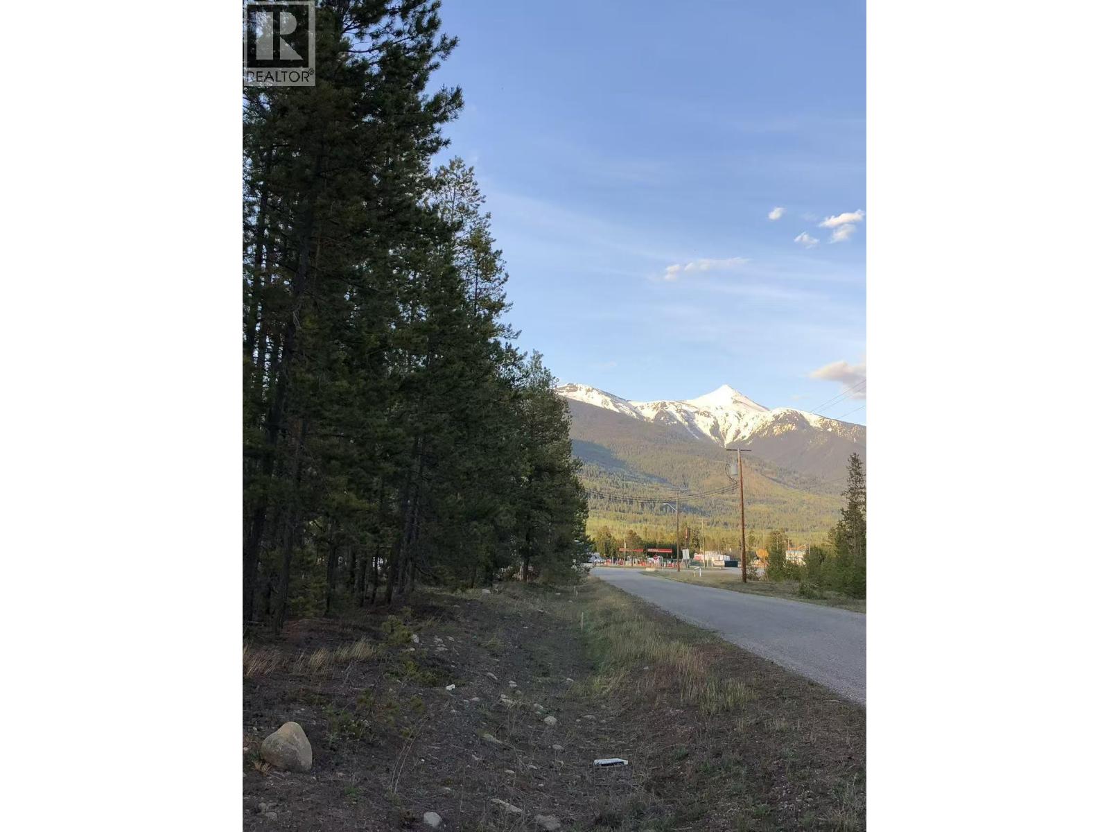 995 S Cranberry Lake Road, Valemount, British Columbia  V0E 2Z0 - Photo 4 - R3136640